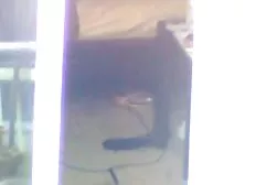 Ekleme hdpırno