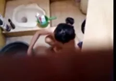 Siyah kedi hdsexizle arama d